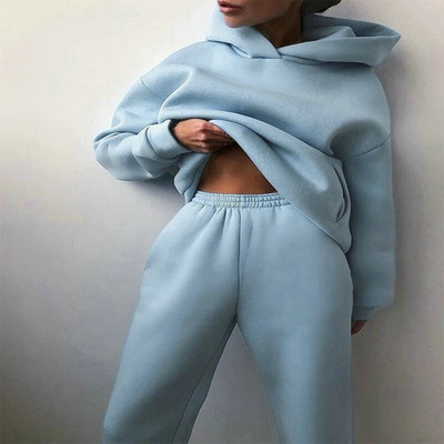 Trening de damă, plin, cu glugă, costume sport, toamnă, caldă, hanorace, ocazional, cu mânecă lungă, hanorace și pantaloni, fleece, set de două piese