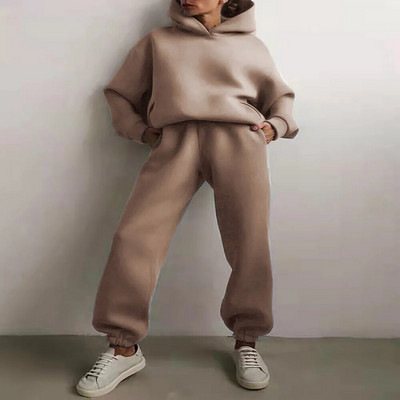 Trening de damă, plin, cu glugă, costume sport, toamnă, caldă, hanorace, ocazional, cu mânecă lungă, hanorace și pantaloni, fleece, set de două piese