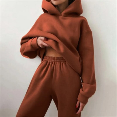 Trening de damă, plin, cu glugă, costume sport, toamnă, caldă, hanorace, ocazional, cu mânecă lungă, hanorace și pantaloni, fleece, set de două piese