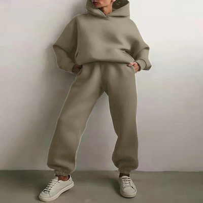 Trening de damă, plin, cu glugă, costume sport, toamnă, caldă, hanorace, ocazional, cu mânecă lungă, hanorace și pantaloni, fleece, set de două piese