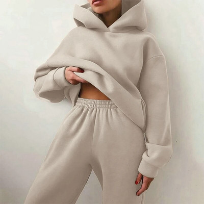Trening de damă, plin, cu glugă, costume sport, toamnă, caldă, hanorace, ocazional, cu mânecă lungă, hanorace și pantaloni, fleece, set de două piese