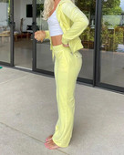 Costum sport pentru femei din catifea de primăvară, ținută coreeană, jachetă cu glugă, pantalon lat, alergare, jogger, fitness, antrenament la gimnastică, set casual Tracksut