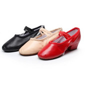 Uus saabumine naiste lõuendist nahast pehme põhjaga kandiline kontsaga tantsukingad Naiste balletitantsukingad 4 värvi