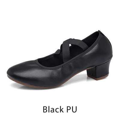 Naiste salsa tantsukingad Naiste ladina džässi tantsukingad Lõuend Pehme tallaga kontsad täiskasvanutele mõeldud tantsusaali tango vabaajajalatsid Naiste tossud