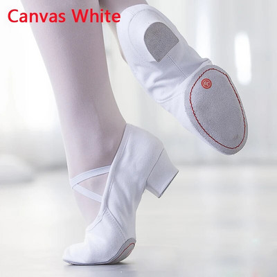 Suvised tantsukingad naistele keskmise kontsaga pehmed tüdrukud balleti džässitantsukingad Kõhujooga ladina tantsujalatsid õpetajate kingad