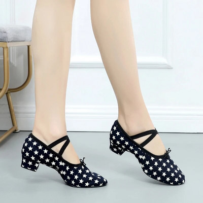 Suvised tantsukingad naistele keskmise kontsaga pehmed tüdrukud balleti džässitantsukingad Kõhujooga ladina tantsujalatsid õpetajate kingad