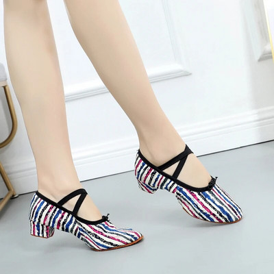 Suvised tantsukingad naistele keskmise kontsaga pehmed tüdrukud balleti džässitantsukingad Kõhujooga ladina tantsujalatsid õpetajate kingad