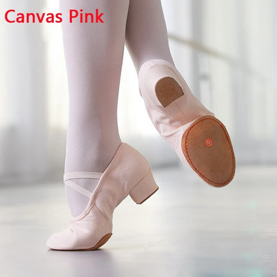 Suvised tantsukingad naistele keskmise kontsaga pehmed tüdrukud balleti džässitantsukingad Kõhujooga ladina tantsujalatsid õpetajate kingad