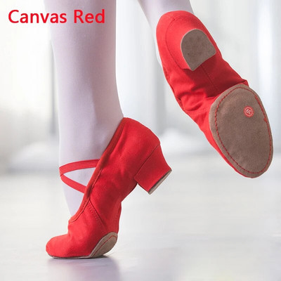 Suvised tantsukingad naistele keskmise kontsaga pehmed tüdrukud balleti džässitantsukingad Kõhujooga ladina tantsujalatsid õpetajate kingad