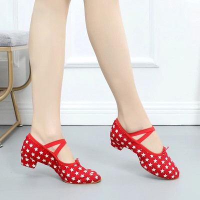 Suvised tantsukingad naistele keskmise kontsaga pehmed tüdrukud balleti džässitantsukingad Kõhujooga ladina tantsujalatsid õpetajate kingad