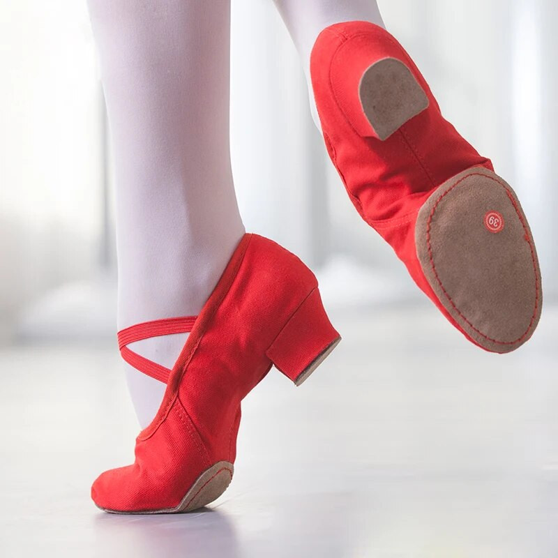 Suvised tantsukingad naistele keskmise kontsaga pehmed tüdrukud balleti džässitantsukingad Kõhujooga ladina tantsujalatsid õpetajate kingad