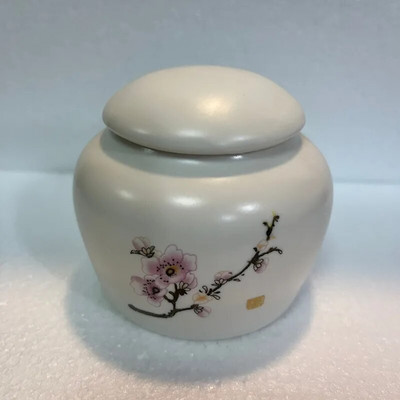 Minikeraamika Tea Caddy Tieguanyin tee hoiupaak reisimiseks kaasaskantav suletud teepurk kohvikonteiner majapidamises kasutatavad hoiupaagid
