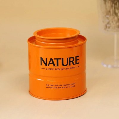 Teepurgi hoiustamine plekk-konteiner kanisterkarp metallist lahtiselt jahu kommid terasest roostevabast lehtedest köök suletud pakend teenõud