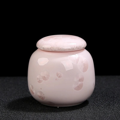 Keraamiline kristallglasuur Väike Tee Caddy Kaasaskantav Kohvihoidja Purk Köök Teepurk Vürtsid Niiskuskindel paak Teekomplekt Tarvikud