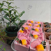 10/20 KOM Četvrtaste plastične čašice za desert od pjene 2 OZ za božićne čašice za puding od želea, jogurt, zabava, Ljetna kuhinja, vjenčanje