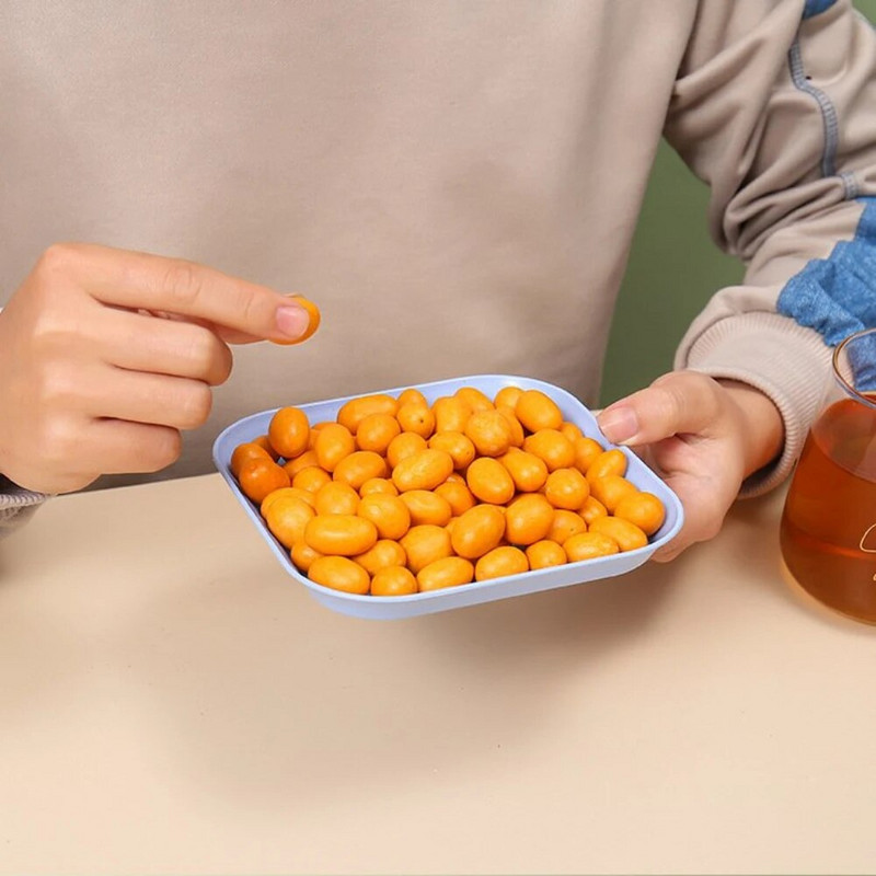 Πιάτο δείπνου με άχυρο σίτου σε σκανδιναβικό στυλ Πιάτο με κόκκαλο Οικιακό τετράγωνο σούβλα με κόκαλο πιάτο Κέικ με φρούτα σνακ Μικρό πιάτο