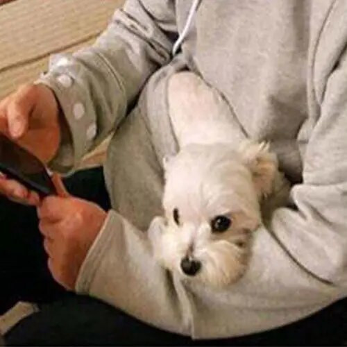 Hanorace pentru iubitorii de pisici Mewgaroo, pentru femei, cu glugă pentru animale de companie, ocazional, cu glugă, pentru femei, cu glugă, cu glugă, cu glugă, pentru femei