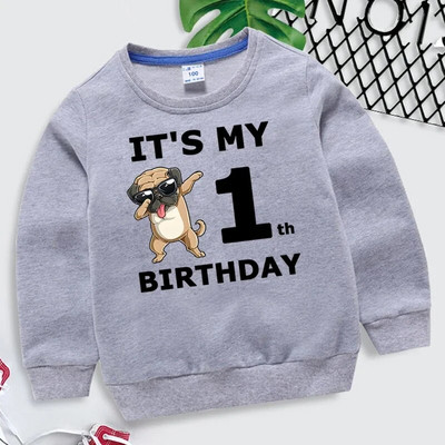 Laste kampsun Tüdrukud Naljakad koerad Graafilised hallid riided poisid 1-10. sünniaastapäeva numbriga dressipluus Lastele vabaaja Harajuku pulloveriga kapuuts