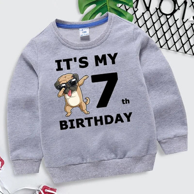 Laste kampsun Tüdrukud Naljakad koerad Graafilised hallid riided poisid 1-10. sünniaastapäeva numbriga dressipluus Lastele vabaaja Harajuku pulloveriga kapuuts