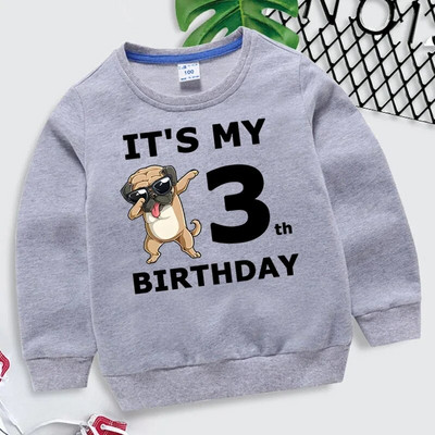 Laste kampsun Tüdrukud Naljakad koerad Graafilised hallid riided poisid 1-10. sünniaastapäeva numbriga dressipluus Lastele vabaaja Harajuku pulloveriga kapuuts