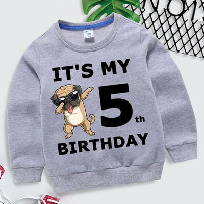 Laste kampsun Tüdrukud Naljakad koerad Graafilised hallid riided poisid 1-10. sünniaastapäeva numbriga dressipluus Lastele vabaaja Harajuku pulloveriga kapuuts