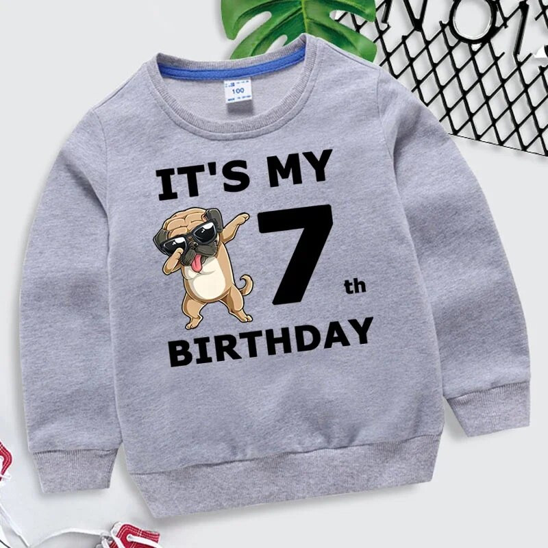 Laste kampsun Tüdrukud Naljakad koerad Graafilised hallid riided poisid 1-10. sünniaastapäeva numbriga dressipluus Lastele vabaaja Harajuku pulloveriga kapuuts