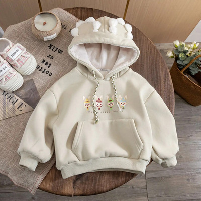 Hanorace pentru fete cu glugă din desene animate pentru copii Plus hanorac pentru copii din catifea 2023, toamnă iarnă, pulover pentru copii, îmbrăcăminte exterioară pentru copii mici