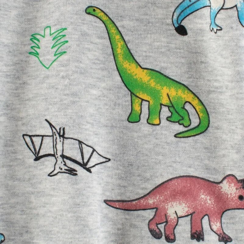 Sametine laste kampsun särk 2024 Talvine multikas dinosauruse kapuuts Poiste plüüsis täistrükiga pikkade varrukatega džemprid Top lasteriided