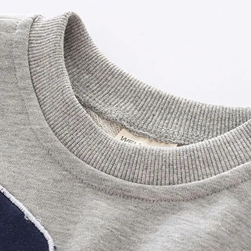 Moodsad poiste dressipluusid sügiskevadeks Dinosauruste beebikampsunid Puuvillprinteriga Laste kapuutsid Top Lasteriided 2–6 aastat