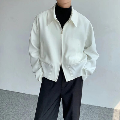 FEWQ meeste jope, lahtikäiva kraega, tõmblukuga lühike mantel 2023, lihtne uus korea moevärv, ühevärvilised meeste topid, sügis 24x1741