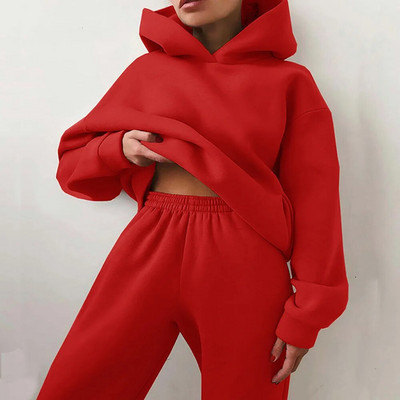 Trening pentru femei, ocazional, fitness, cu glugă, costum sport cu mânecă lungă, toamnă, iarnă, hanorace caldă, pantaloni lungi, fleece, seturi de 2 piese