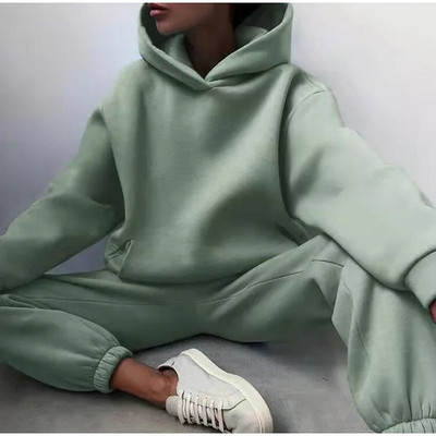 Trening pentru femei, ocazional, fitness, cu glugă, costum sport cu mânecă lungă, toamnă, iarnă, hanorace caldă, pantaloni lungi, fleece, seturi de 2 piese