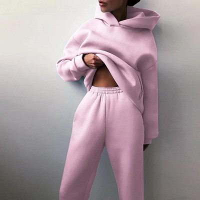 Trening pentru femei, ocazional, fitness, cu glugă, costum sport cu mânecă lungă, toamnă, iarnă, hanorace caldă, pantaloni lungi, fleece, seturi de 2 piese