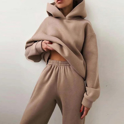 Trening pentru femei, ocazional, fitness, cu glugă, costum sport cu mânecă lungă, toamnă, iarnă, hanorace caldă, pantaloni lungi, fleece, seturi de 2 piese