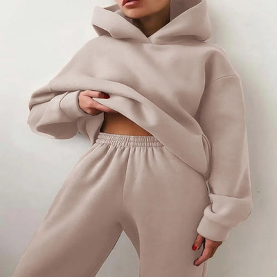 Trening pentru femei, ocazional, fitness, cu glugă, costum sport cu mânecă lungă, toamnă, iarnă, hanorace caldă, pantaloni lungi, fleece, seturi de 2 piese