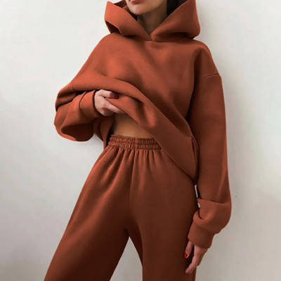 Trening pentru femei, ocazional, fitness, cu glugă, costum sport cu mânecă lungă, toamnă, iarnă, hanorace caldă, pantaloni lungi, fleece, seturi de 2 piese