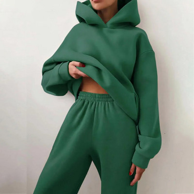 Trening pentru femei, ocazional, fitness, cu glugă, costum sport cu mânecă lungă, toamnă, iarnă, hanorace caldă, pantaloni lungi, fleece, seturi de 2 piese