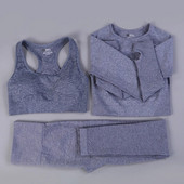 Bešavni set za jogu Odjeća za teretanu Ženska oprema za fitness Odjeća za vježbanje za žene Crop Top Sportski grudnjaci Tajice Žensko sportsko odijelo