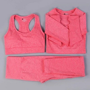 Bešavni set za jogu Odjeća za teretanu Ženska oprema za fitness Odjeća za vježbanje za žene Crop Top Sportski grudnjaci Tajice Žensko sportsko odijelo