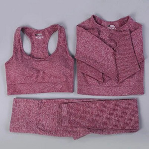 Bešavni set za jogu Odjeća za teretanu Ženska oprema za fitness Odjeća za vježbanje za žene Crop Top Sportski grudnjaci Tajice Žensko sportsko odijelo