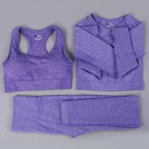 Bešavni set za jogu Odjeća za teretanu Ženska oprema za fitness Odjeća za vježbanje za žene Crop Top Sportski grudnjaci Tajice Žensko sportsko odijelo