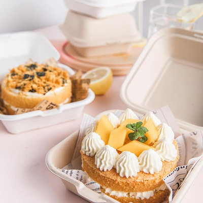 10 ΤΕΜ Βιοαποικοδομήσιμο κουτί χάμπουργκερ μιας χρήσης 6 ιντσών, κουτί μεσημεριανού γεύματος Bento Baking Cak Δοχεία φαγητού Κουτί για επιδόρπιο για σνακ
