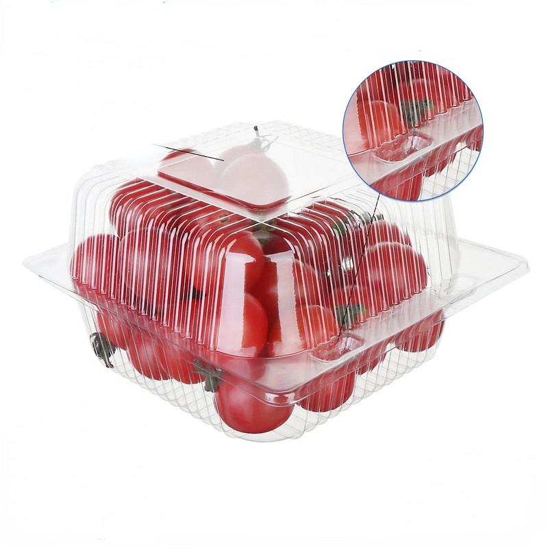 25 τμχ Clear Clamshell δοχείο φαγητού με καπάκια για μεσημεριανό γεύμα μιας χρήσης κουτιά για πικνίκ Κουτιά συσκευασίας τροφίμων Κουτιά για φαγητό σε πακέτο Κουτιά κέικ