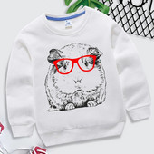 Hanorace amuzante de cobai pentru copii, pulover Kawaii, desene animate, băieți, fete, hanorace, ocazional, pentru bebeluși, moda pentru cobai