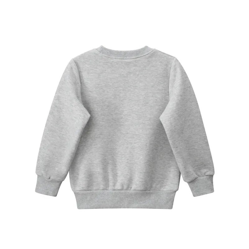 Iarna 2024, nou pulover cu panda din desene animate, bluză, pentru băieți, catifea, pentru copii, ocazional, hanorace cu mânecă lungă, ținută caldă pentru copii