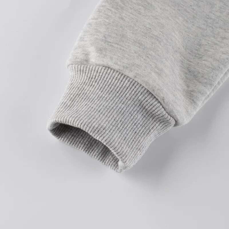 Iarna 2024, nou pulover cu panda din desene animate, bluză, pentru băieți, catifea, pentru copii, ocazional, hanorace cu mânecă lungă, ținută caldă pentru copii