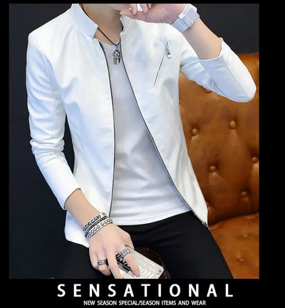 Jachetă de piele pentru bărbați, student de sex masculin, auto-cultivare, primăvară, toamnă, scurtă, frumos, pentru tineret, cu guler în picioare