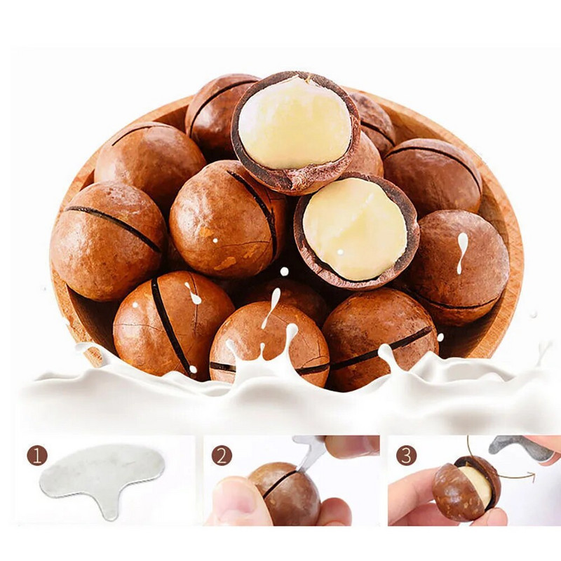 Cokytoop 1-4vnt./rinkinys Mini riešutų traškučiai nerūdijančio plieno Macadamia graikinių riešutų atidarytuvas Nešiojami stovyklavimo virtuvės priedai Riešutų įrankiai