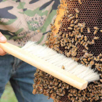 Εργαλεία μελισσοκομίας Βούρτσα ξύλου μελιού Σφήκα μέλισσας Σκούπισμα δύο σειρών τρίχες ουράς αλόγου Νέα βούρτσα μέλισσας Εξοπλισμός μελισσοκομίας