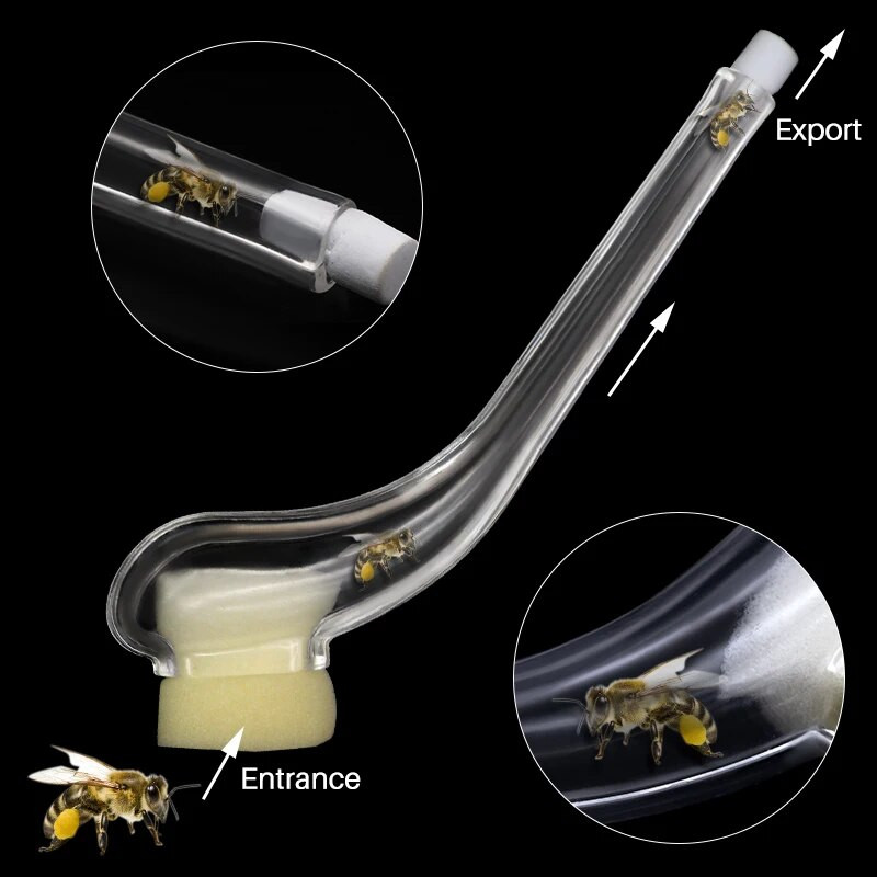 2 vnt. Bičių karaliaus bičių gaudyklės gaudymo karalienės narvelis prietaisas, gaudantis karalių Apicultura, bičių auginimo sistemos reikmenys